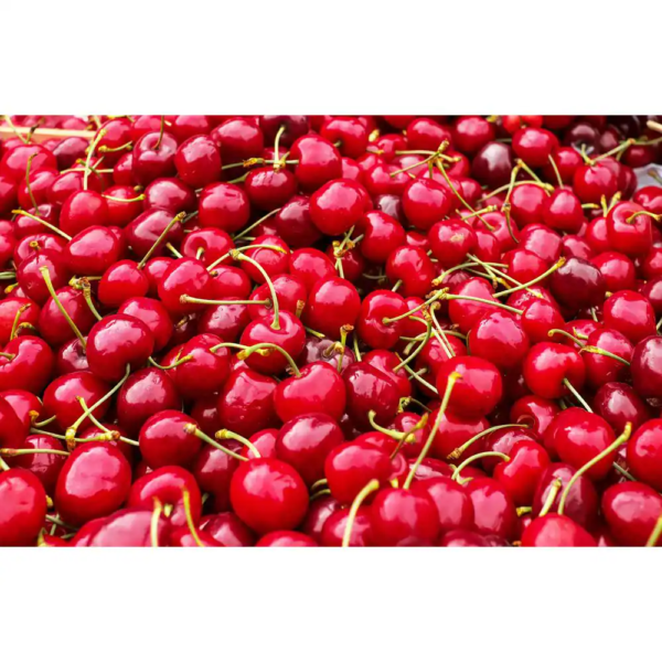 Double Cherry Twist Tree Bare Root - Image 6