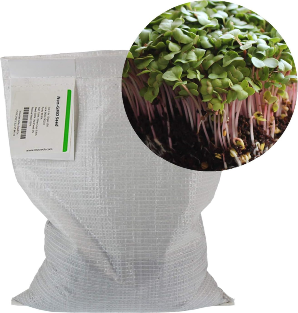 Radish Sprouting Seed - Red Arrow Variety - 5 Lb Bulk Seed - Heirloom Radish Sprouts - Non-Gmo Sprouting and Micro Radishes - Image 3