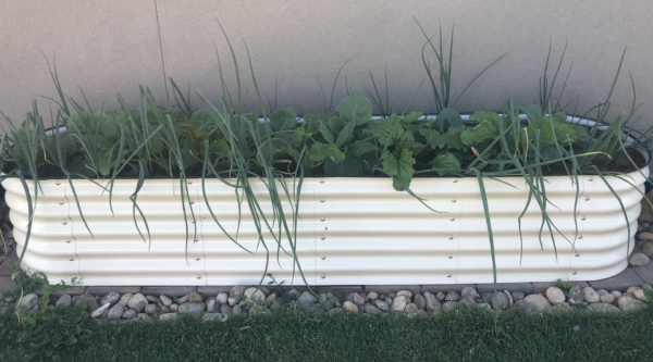 17" Tall 10 in 1 Raised Gardening Bed Modular Metal Outdoor Planter Pearl White - Image 3