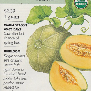 Organic Minnesota Midget Muskmelon/Cantaloupe Seeds - 1 G
