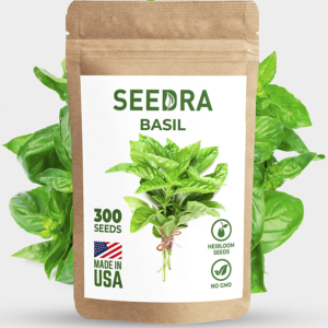 300+ Italian Large Leaf Basil Seeds for Indoor, Outdoor and Hydroponic Planting, Non GMO Heirloom Seeds for Home Garden - 1 Pack