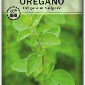 - Oregano Seed for Planting - Non-Gmo Heirloom- Instructions to Plant and Grow a Kitchen Herb Garden - Indoor or Outdoor - Gardening Gift - Produces Flavorful Leaves for Seasoning (1)