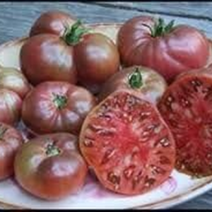 Tomato Cherokee Purple Great Garden Heirloom Vegetable Seeds by  (200 Seeds)