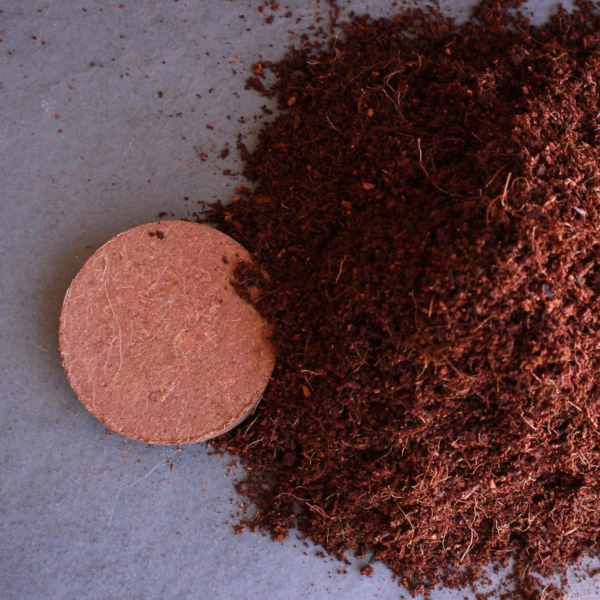 Minute Soil - Compressed Coco Coir Fiber Grow Medium - 100 MM Discs - 10 Pack = 4.25 Gallons of Potting Soil - Gardening, House Plants, Flowers, Herbs, Microgreens, Wheatgrass - Just Add Water - OMRI - Image 3
