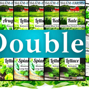 Vegetable & Lettuce Seeds for Planting Your Outdoor/Indoor Survival Garden. 17700 Seeds, 2 Free Grower Guides & 12 Clear Seed Pack. Buttercrunch, Romaine, Oakleaf, Arugula, Kale, Spinach