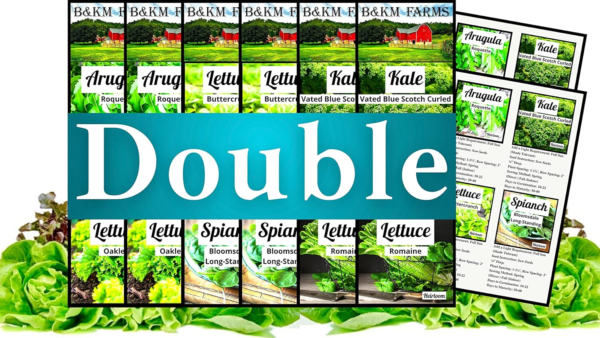 Vegetable & Lettuce Seeds for Planting Your Outdoor/Indoor Survival Garden. 17700 Seeds, 2 Free Grower Guides & 12 Clear Seed Pack. Buttercrunch, Romaine, Oakleaf, Arugula, Kale, Spinach