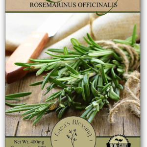 Seeds - Rosemary Seeds - Heirloom Non-Gmo Seeds with Easy to Follow Instructions 97% Germination Rate (Single Pack)