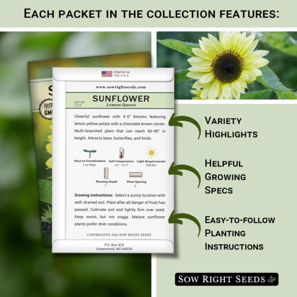 - Large Sunflower Seed Collection for Planting - 6 Varieties of Sunflowers to Attract Pollinators - Non-Gmo Heirloom Packet with Instructions to Plant & Grow - Giant Summer Blooms - Image 2