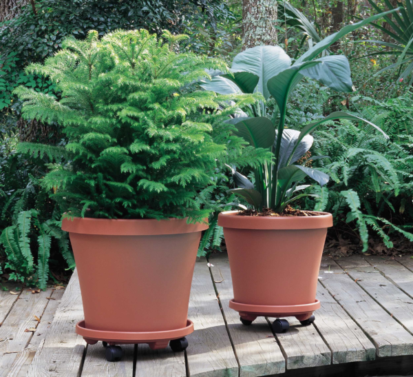 Rolling Plant Stand Caddie Saucer 12" Terra Cotta - Image 5