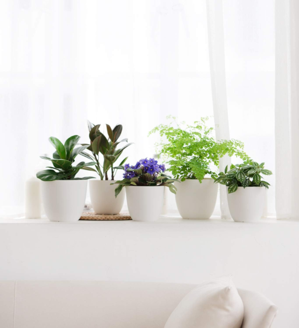 7.5" Plastic Plant Pots with Saucers, Indoor Set of 5, Cream White - Image 2
