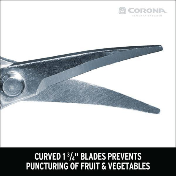 1.75 In. Stainless Steel Long Curved Snips - Image 7