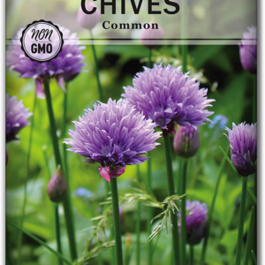 - Common Chives Seed for Planting - Non-Gmo Heirloom Packet with Instructions to Plant and Grow Kitchen Herb Garden Indoor or Outdoor - Mild Onion Flavor (1)