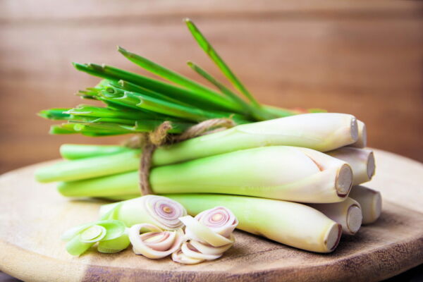 100 Seeds LEMONGRASS East Indian Lemon Grass Fragrant Edible Cymbopogon Seeds - Image 7