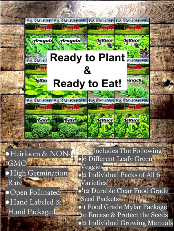 Vegetable & Lettuce Seeds for Planting Your Outdoor/Indoor Survival Garden. 17700 Seeds, 2 Free Grower Guides & 12 Clear Seed Pack. Buttercrunch, Romaine, Oakleaf, Arugula, Kale, Spinach - Image 6