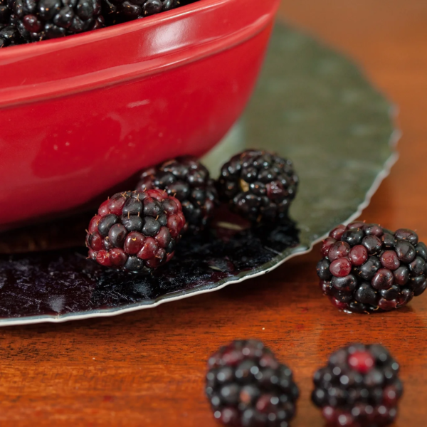 Ouachita Blackberry Bush Live Plant in 1 Gal Pot, Thornless Sweet Fruit - Image 5
