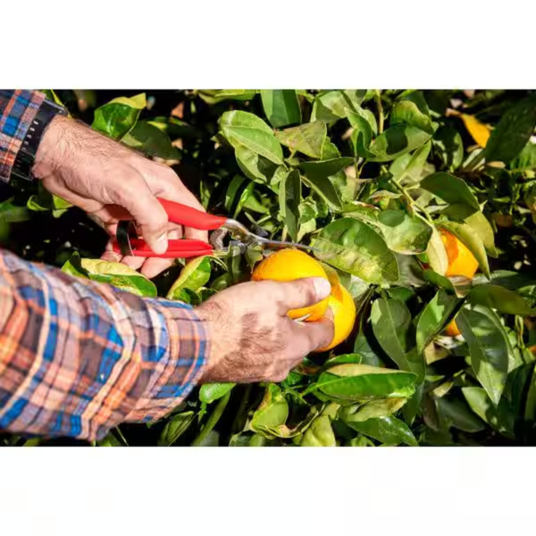 1.75 In. Stainless Steel Long Curved Snips - Image 13