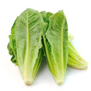 Lettuce Seeds - Romaine / COS - Petite Rouge - 1 G Packet ~200 Seeds - Lactuca Sativa - Farm & Garden Vegetable Seeds - Non-Gmo, Heirloom, Open Pollinated, Annual