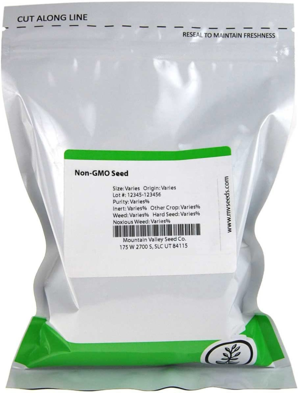 Pacific Gold Mustard Seeds by Mighty Mustard - 1 Lb - Non-Gmo, Open Pollinated Farm & Garden Cover Crop Seeds - Image 2