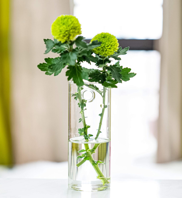 Glass Planter Terrarium Plant Propagation Station Wall Hanging for Home Office Decor, Medium Cylinder, 2 Pack - Image 2