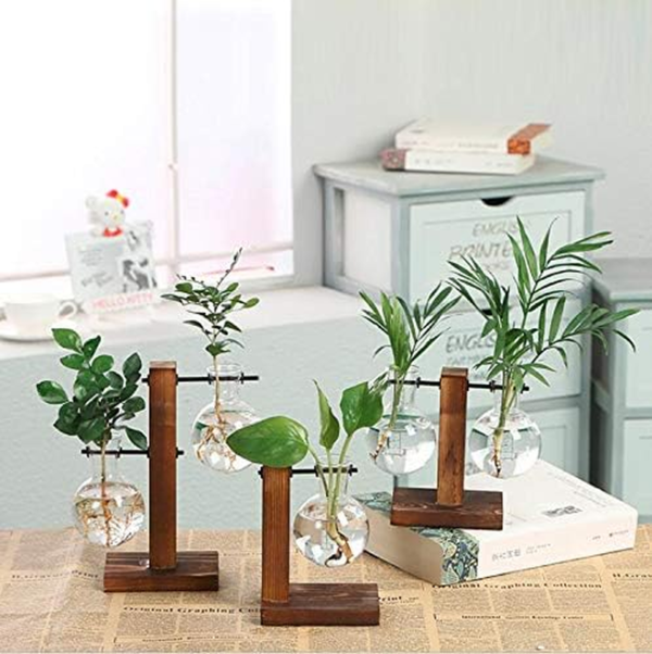 Glass Planter Bulb Vase Desktop Plant Terrarium with Retro Solid Wooden Stand for Propagation Hydroponics Water Plants Home Garden Office Decor - Image 2