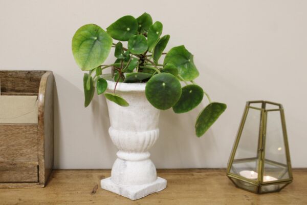 Classic Urn Planter - Image 2
