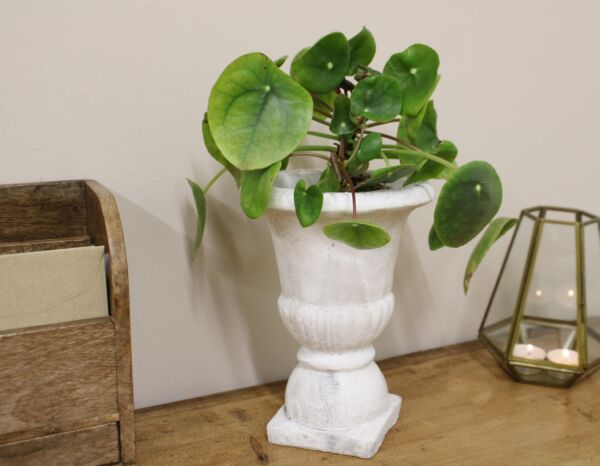 Classic Urn Planter - Image 3