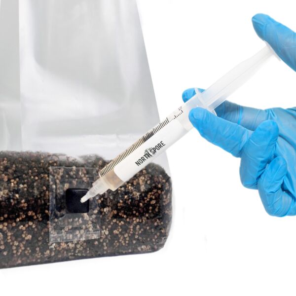 'Shroomtek' + Spore Boostr All-In-One Mushroom Grow Bag - Image 6