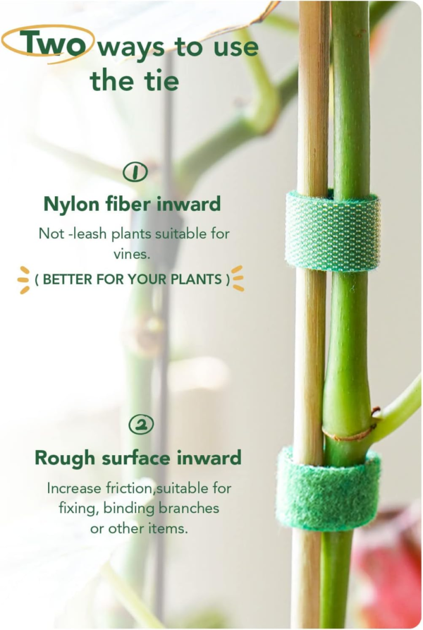 Plant Ties, Garden Tape for Plant, Reusable Adjustable Thicker Support for Growing, Strong Grip, Tomato Vines Indoor Outdoor, 100 Ft (2 Roll 50Ft) X 0.47 Inch, Green - Image 7