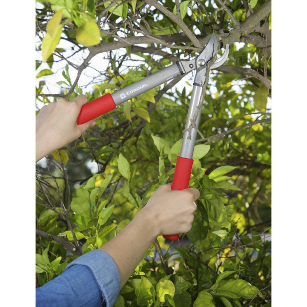Classiccut 2.375 In. High Carbon Steel Blade with Forged Aluminum Handles Two-Handed Bypass Pruner - Image 8