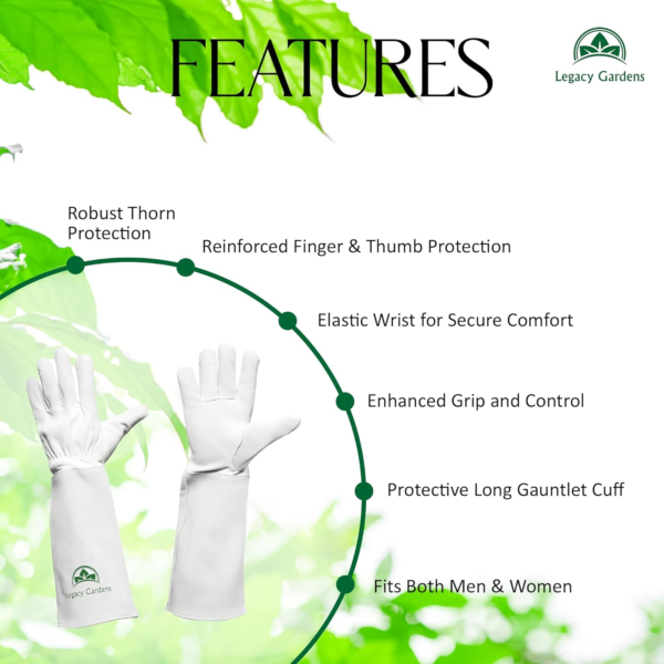 Thorn Resistant Leather Gardening Gloves for Men & Women – Long Gauntlet Rose Pruning Gloves with Forearm Protection for Pruning and Yard Work - Medium - Image 3