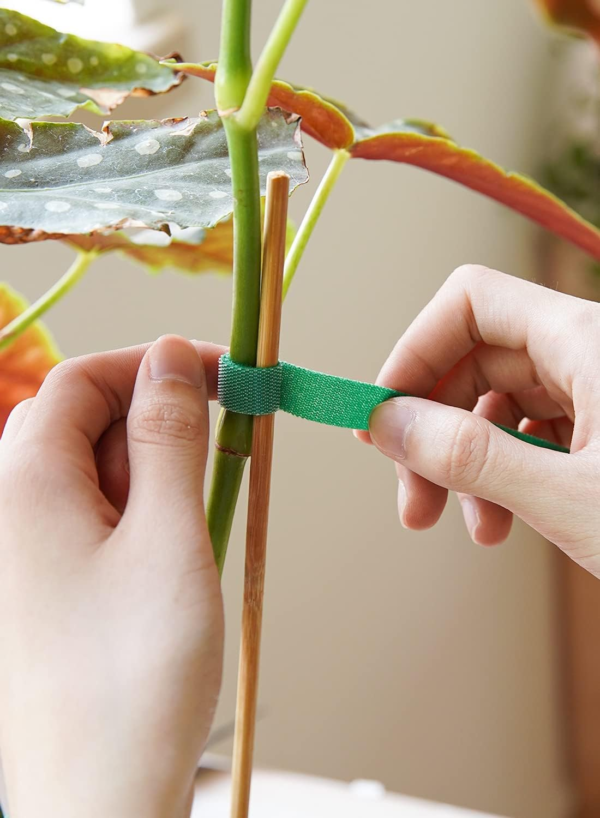 Plant Ties, Garden Tape for Plant, Reusable Adjustable Thicker Support for Growing, Strong Grip, Tomato Vines Indoor Outdoor, 100 Ft (2 Roll 50Ft) X 0.47 Inch, Green - Image 3