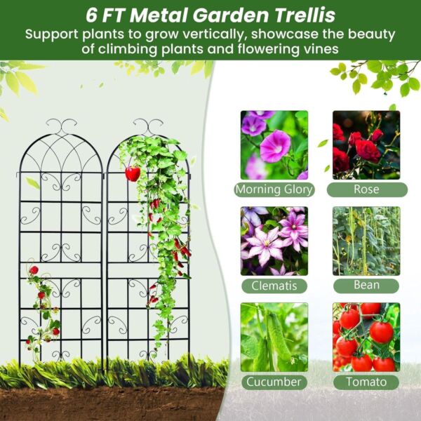 Set of 2 - 6-Ft Heavy Duty Outdoor Galvanized Metal Garden Trellis - Image 3