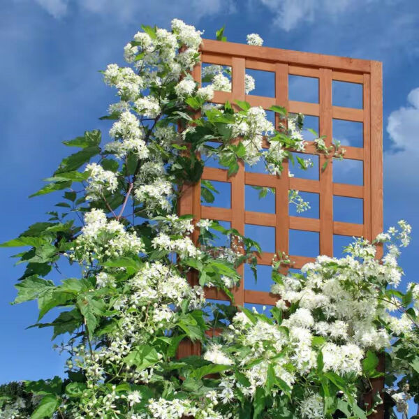 72-inch Outdoor Modern Wooden Garden Trellis in Cedar Wood Color - Image 4