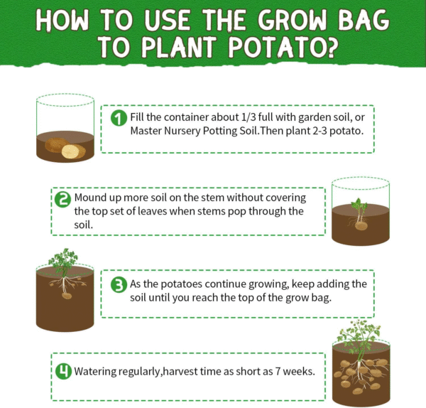 10 Gallon Potato Grow Bags, 6 Pack, Two-Sided Transparent Window Garden Planting Bag with Durable Handle, Thickened Nonwoven Fabric Pots Vegetable Grow Bags for Tomato, Carrot, Onion, Fruits, Flower - Image 6