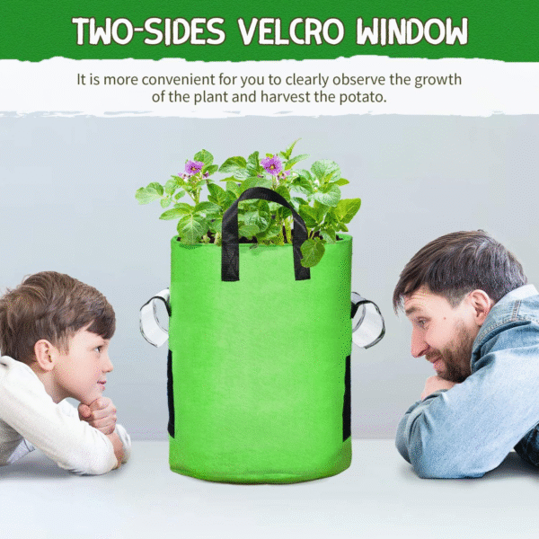 10 Gallon Potato Grow Bags, 6 Pack, Two-Sided Transparent Window Garden Planting Bag with Durable Handle, Thickened Nonwoven Fabric Pots Vegetable Grow Bags for Tomato, Carrot, Onion, Fruits, Flower - Image 2