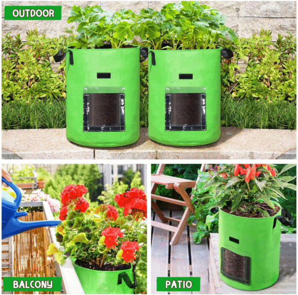 10 Gallon Potato Grow Bags, 6 Pack, Two-Sided Transparent Window Garden Planting Bag with Durable Handle, Thickened Nonwoven Fabric Pots Vegetable Grow Bags for Tomato, Carrot, Onion, Fruits, Flower - Image 7