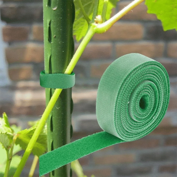 10 Roll Nylon Plant Ties Plant Bandage Hook Tie Loop Adjustable Plant Support Reusable Fastener Tape for Home Garden Accessories - Image 4