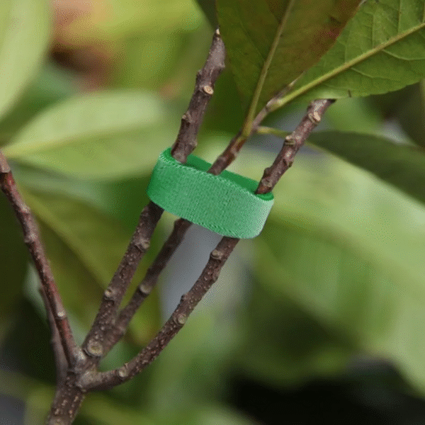 10 Roll Nylon Plant Ties Plant Bandage Hook Tie Loop Adjustable Plant Support Reusable Fastener Tape for Home Garden Accessories - Image 3